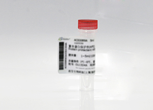 蛋氨酸亞砜還原酶A（MsrA）重組蛋白